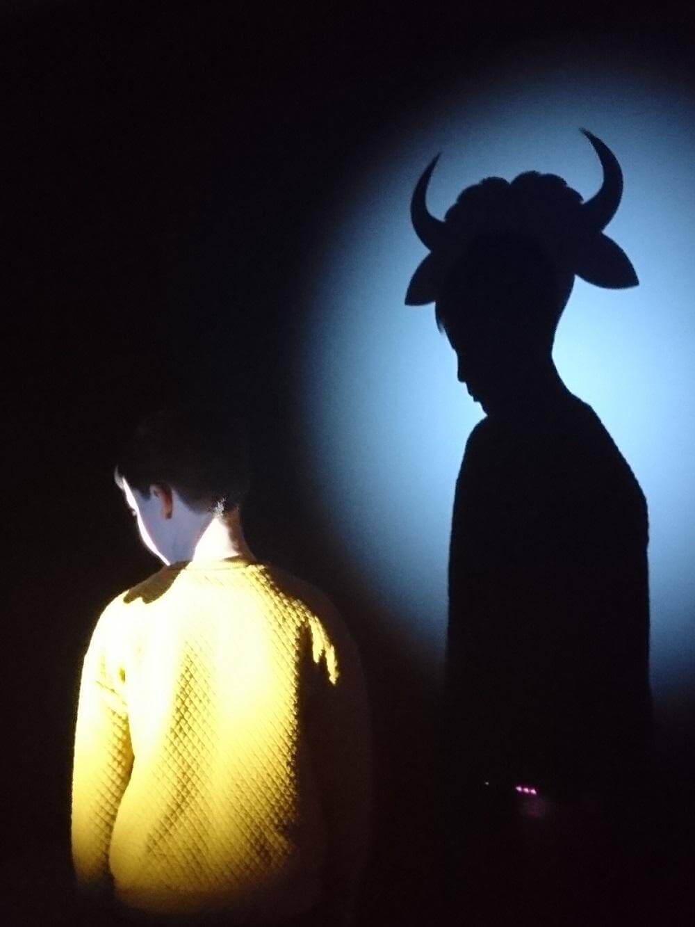 Un enfant face à une ombre d'animal projetée sur le mur