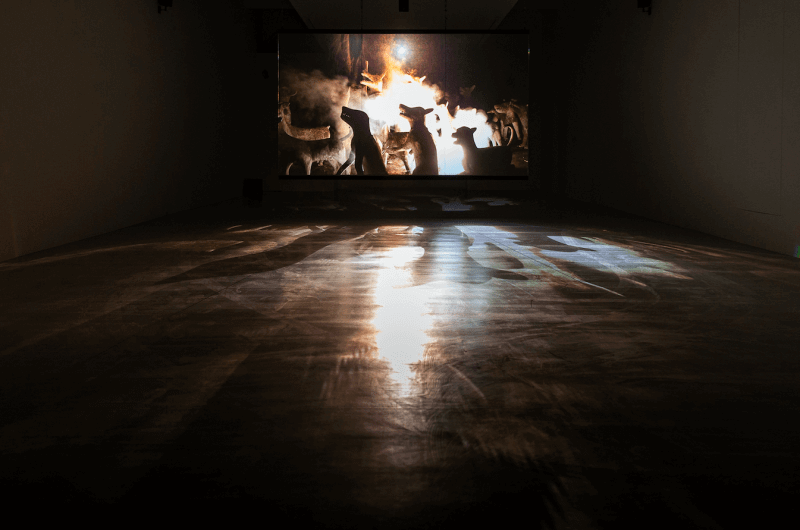 Nastassja Martin — Croire aux fauves, 2019