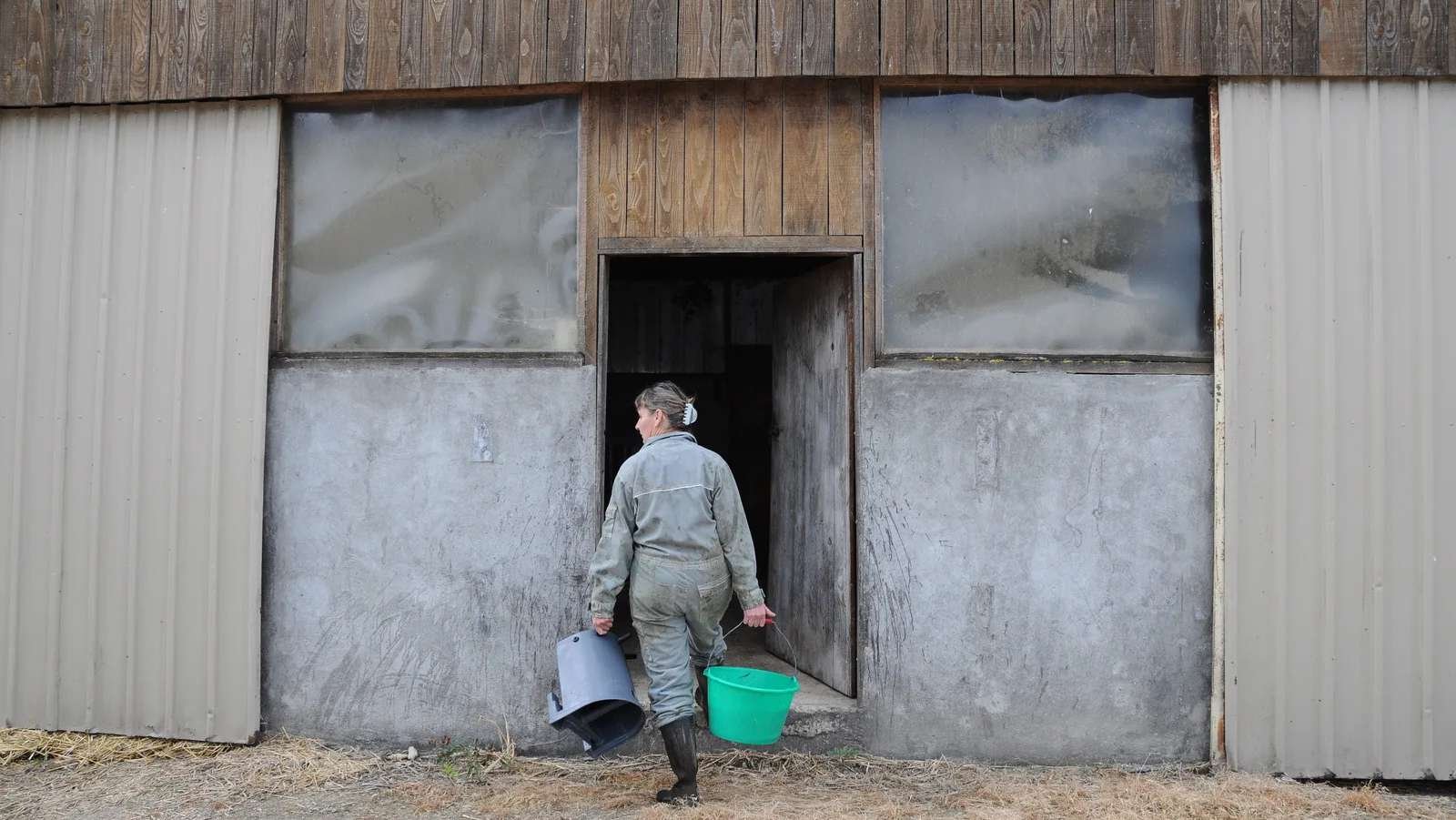 Une agricultrice entre dans une grange, deux seaux à la main