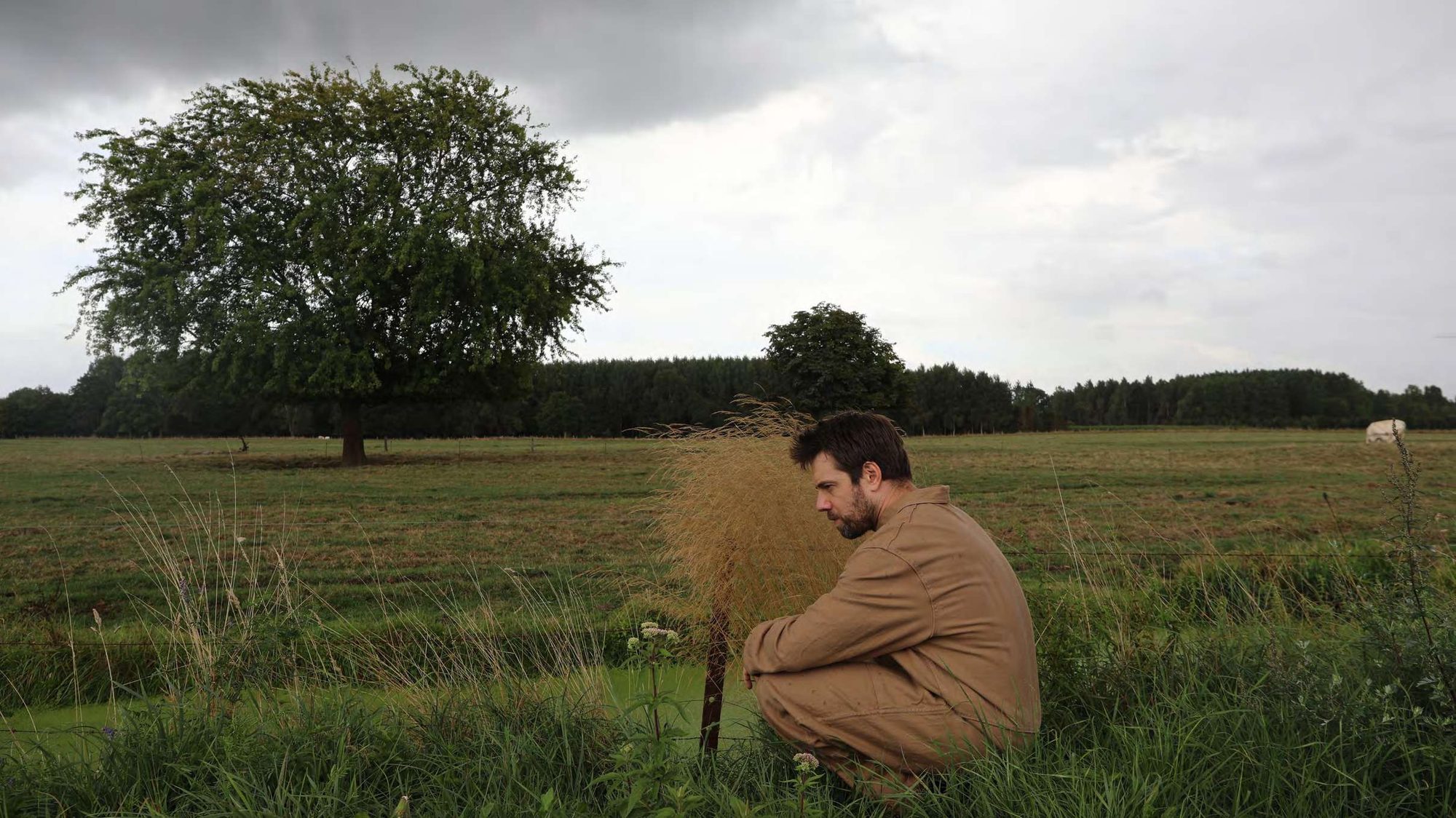 Un homme accroupi observe une plaine, un arbre isolé à l'horizon