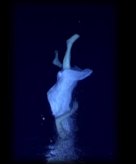 Une silhouette blanche jaillit de l'eau sombre, comme un fantôme